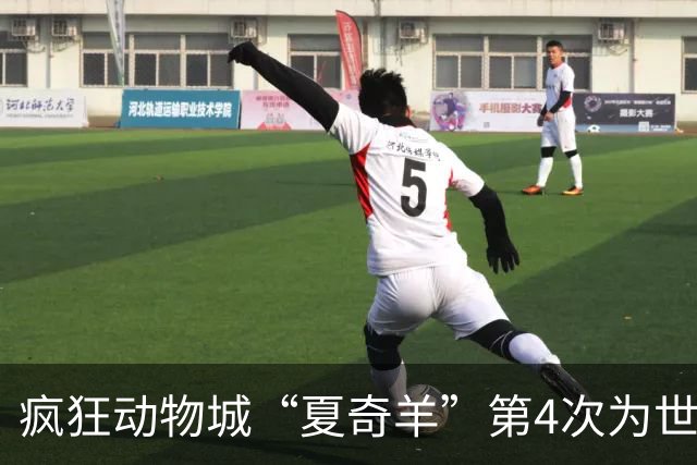 疯狂动物城“夏奇羊”第4次为世界杯开嗓，版税将全捐用于贫困儿童教育